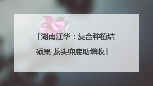 湖南江华：复合种植结硕果 龙头兜底助增收
