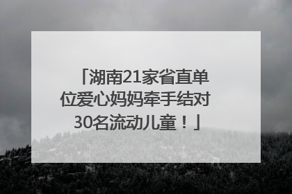 湖南21家省直单位爱心妈妈牵手结对30名流动儿童！