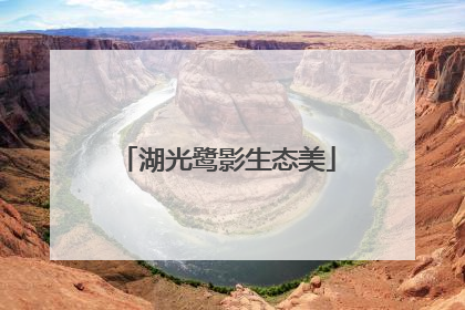 湖光鹭影生态美