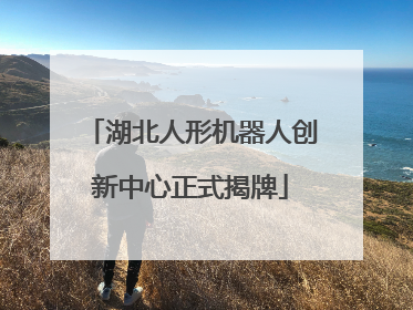 湖北人形机器人创新中心正式揭牌