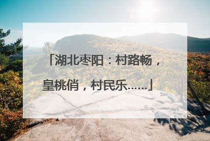 湖北枣阳：村路畅，皇桃俏，村民乐……