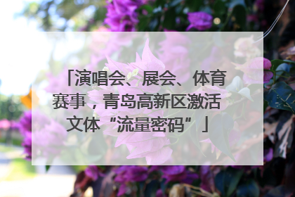 演唱会、展会、体育赛事，青岛高新区激活文体“流量密码”