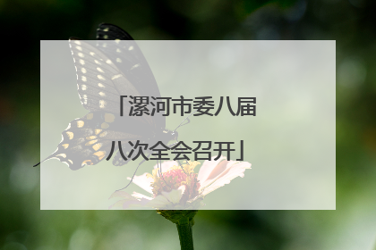 漯河市委八届八次全会召开