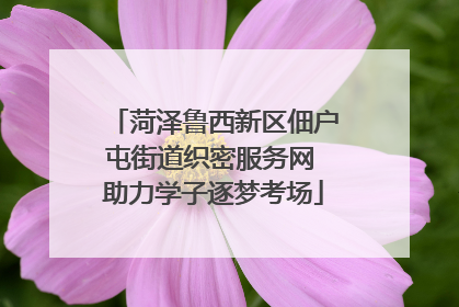 菏泽鲁西新区佃户屯街道织密服务网 助力学子逐梦考场