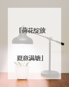 荷花绽放 夏意满塘
