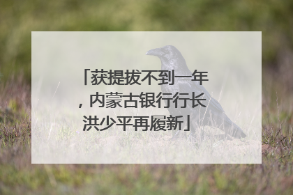 获提拔不到一年，内蒙古银行行长洪少平再履新