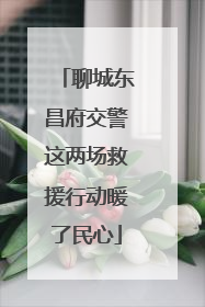 聊城东昌府交警这两场救援行动暖了民心