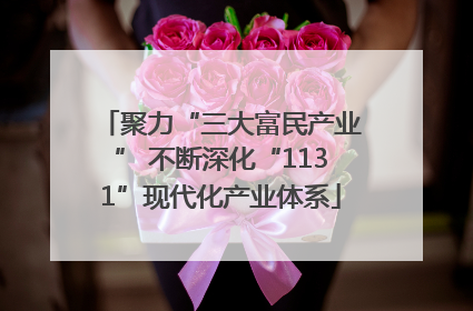 聚力“三大富民产业” 不断深化“1131”现代化产业体系