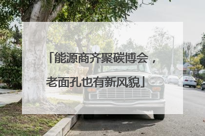 能源商齐聚碳博会，老面孔也有新风貌