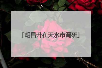 胡昌升在天水市调研