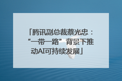 腾讯副总裁蔡光忠：“一带一路”背景下推动AI可持续发展