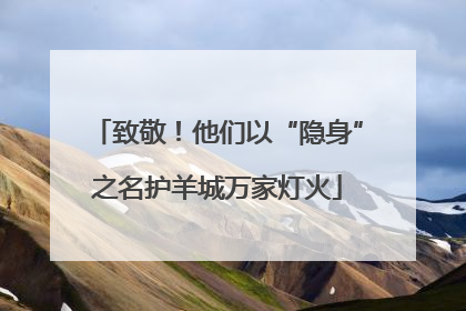 致敬！他们以“隐身”之名护羊城万家灯火