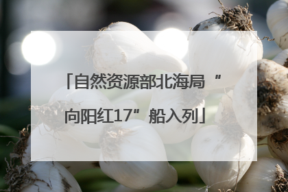 自然资源部北海局“向阳红17”船入列