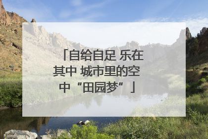 自给自足 乐在其中 城市里的空中“田园梦”