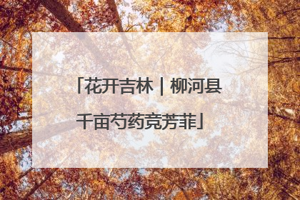 花开吉林｜柳河县千亩芍药竞芳菲