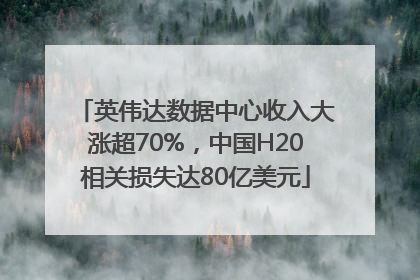 英伟达数据中心收入大涨超70%，中国H20相关损失达80亿美元