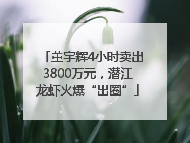 董宇辉4小时卖出3800万元，潜江龙虾火爆“出圈”