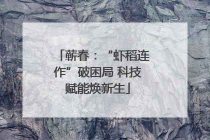 蕲春：“虾稻连作”破困局 科技赋能焕新生