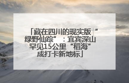 藏在四川的现实版“绿野仙踪”：宜宾深山罕见15公里“稻海”成打卡新地标