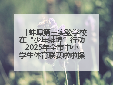 蚌埠第三实验学校在“少年蚌埠”行动2025年全市中小学生体育联赛啦啦操比赛中获佳绩