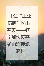 让“工业伤疤”长出春天——辽宁加快废弃矿山治理观察
