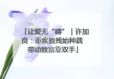 让爱无“碍”｜许加良：重疾致残始种藕 带动致富靠双手