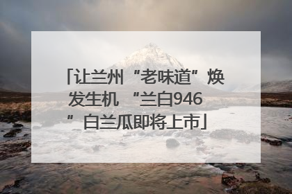 让兰州“老味道”焕发生机 “兰白946”白兰瓜即将上市