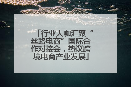 行业大咖汇聚“丝路电商”国际合作对接会，热议跨境电商产业发展