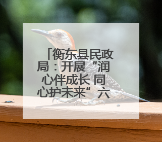 衡东县民政局：开展“润心伴成长 同心护未来”六一儿童节系列关爱活动