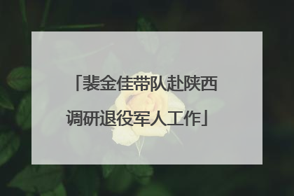 裴金佳带队赴陕西调研退役军人工作