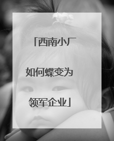 西南小厂如何蝶变为领军企业