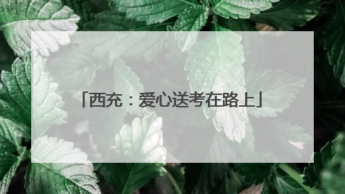 西充：爱心送考在路上