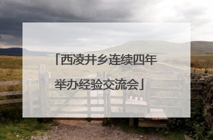 西凌井乡连续四年举办经验交流会