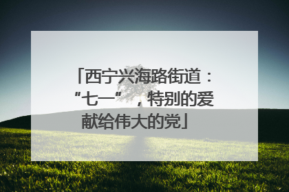 西宁兴海路街道：“七一”，特别的爱献给伟大的党