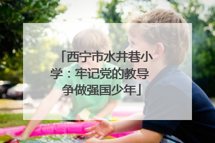 西宁市水井巷小学：牢记党的教导 争做强国少年
