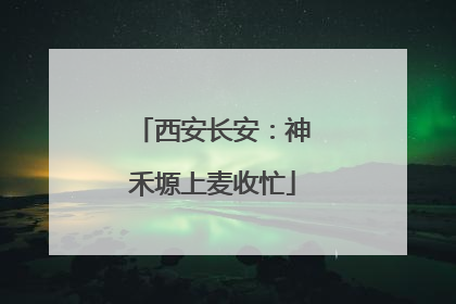 西安长安：神禾塬上麦收忙