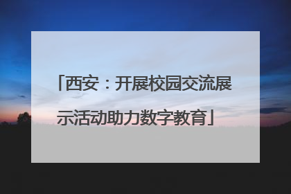西安：开展校园交流展示活动助力数字教育