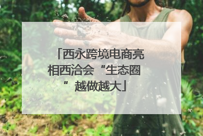西永跨境电商亮相西洽会“生态圈”越做越大