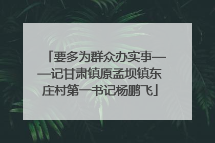 要多为群众办实事——记甘肃镇原孟坝镇东庄村第一书记杨鹏飞