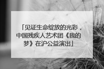 见证生命绽放的光彩，中国残疾人艺术团《我的梦》在沪公益演出