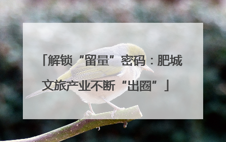 解锁“留量”密码：肥城文旅产业不断“出圈”