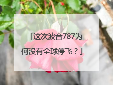 这次波音787为何没有全球停飞？