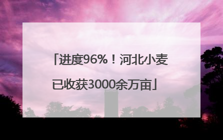 进度96%！河北小麦已收获3000余万亩
