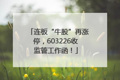 连板“牛股”再涨停，603226收监管工作函！
