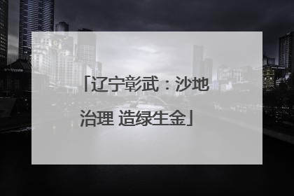 辽宁彰武：沙地治理 造绿生金