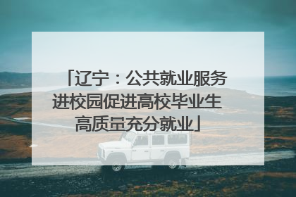 辽宁：公共就业服务进校园促进高校毕业生高质量充分就业