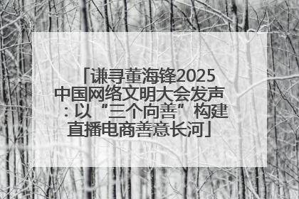 谦寻董海锋2025中国网络文明大会发声：以“三个向善”构建直播电商善意长河