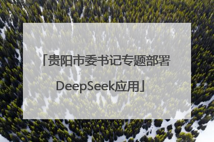 贵阳市委书记专题部署DeepSeek应用