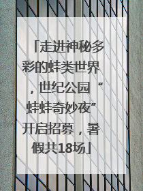 走进神秘多彩的蛙类世界，世纪公园“蛙蛙奇妙夜”开启招募，暑假共18场