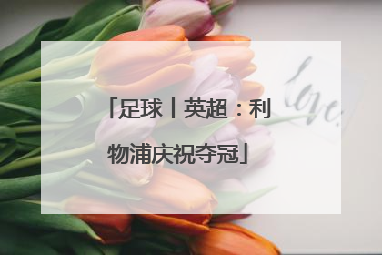 足球丨英超：利物浦庆祝夺冠